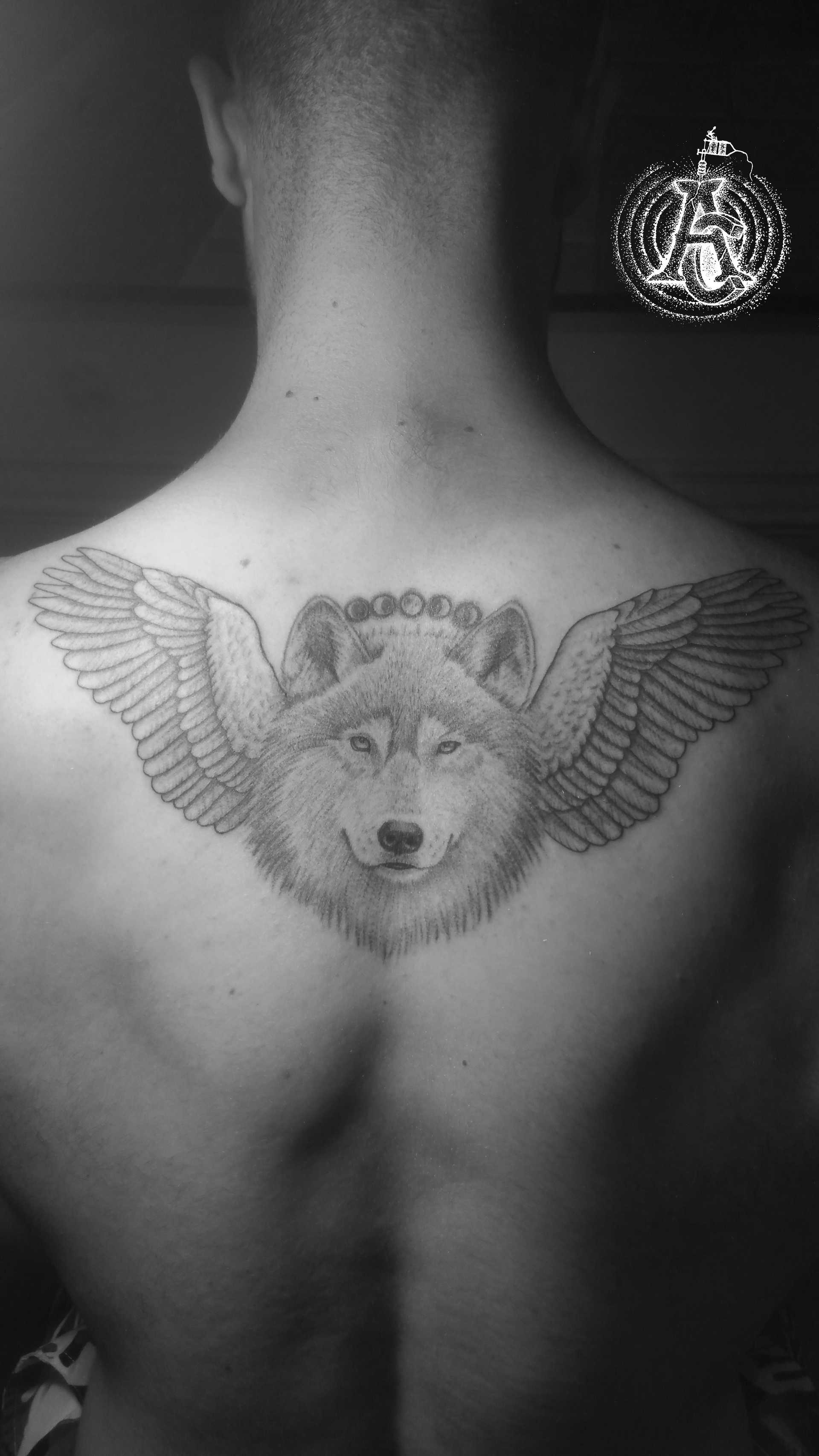 Winged wolf