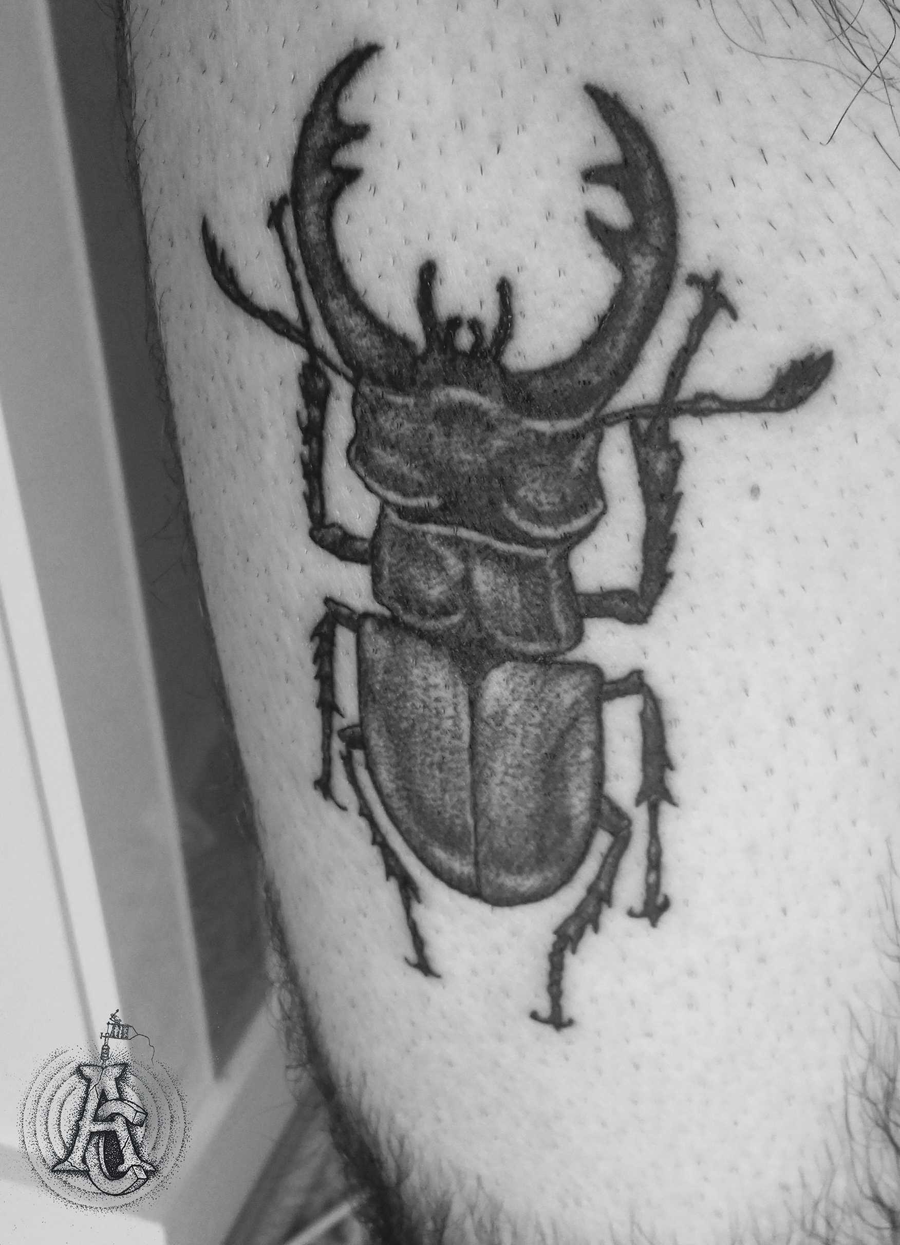 Beetle