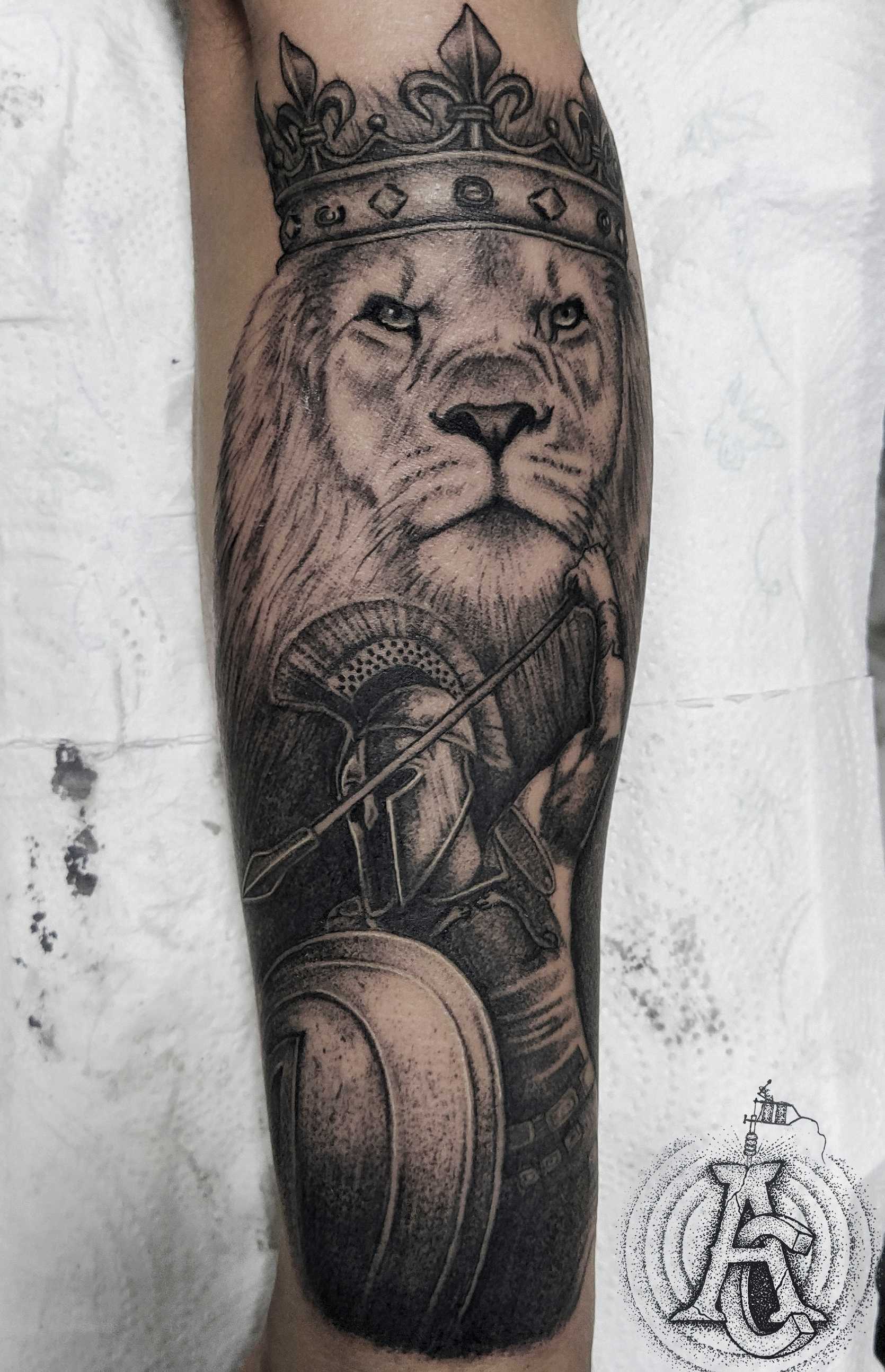 Lion Sleeve